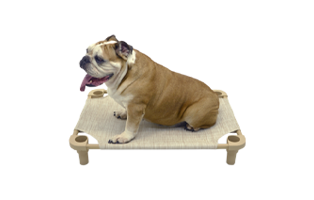 4Legs4Pets Place Board – 30x30 Premium Square Cot