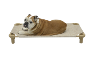 4Legs4Pets Place Board - 30x22 Premium Rectangle Cot