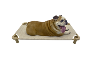 4Legs4Pets Place Board - 30x22 Premium Rectangle Cot