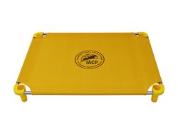 ON CLEARANCE - IACP logo print - Golden Rays - Golden Rays Legs, Silver Frame