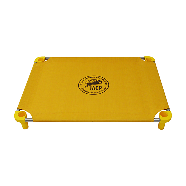 ON CLEARANCE – IACP logo print – Golden Rays – Golden Rays Legs, Silver Frame